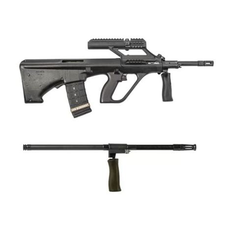 palmetto arms steyr aug